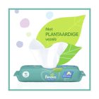 Verpakking van Pampers Fresh Clean vochtige billendoekjes met plantaardige vezels, met één doekje dat uit de verpakking steekt. Het logo van Pampers en de tekst 'Met PLANTAARDIGE vezels' prominent in beeld tegen een achtergrond met abstracte kleurrijke stippen en een groot groen blad.